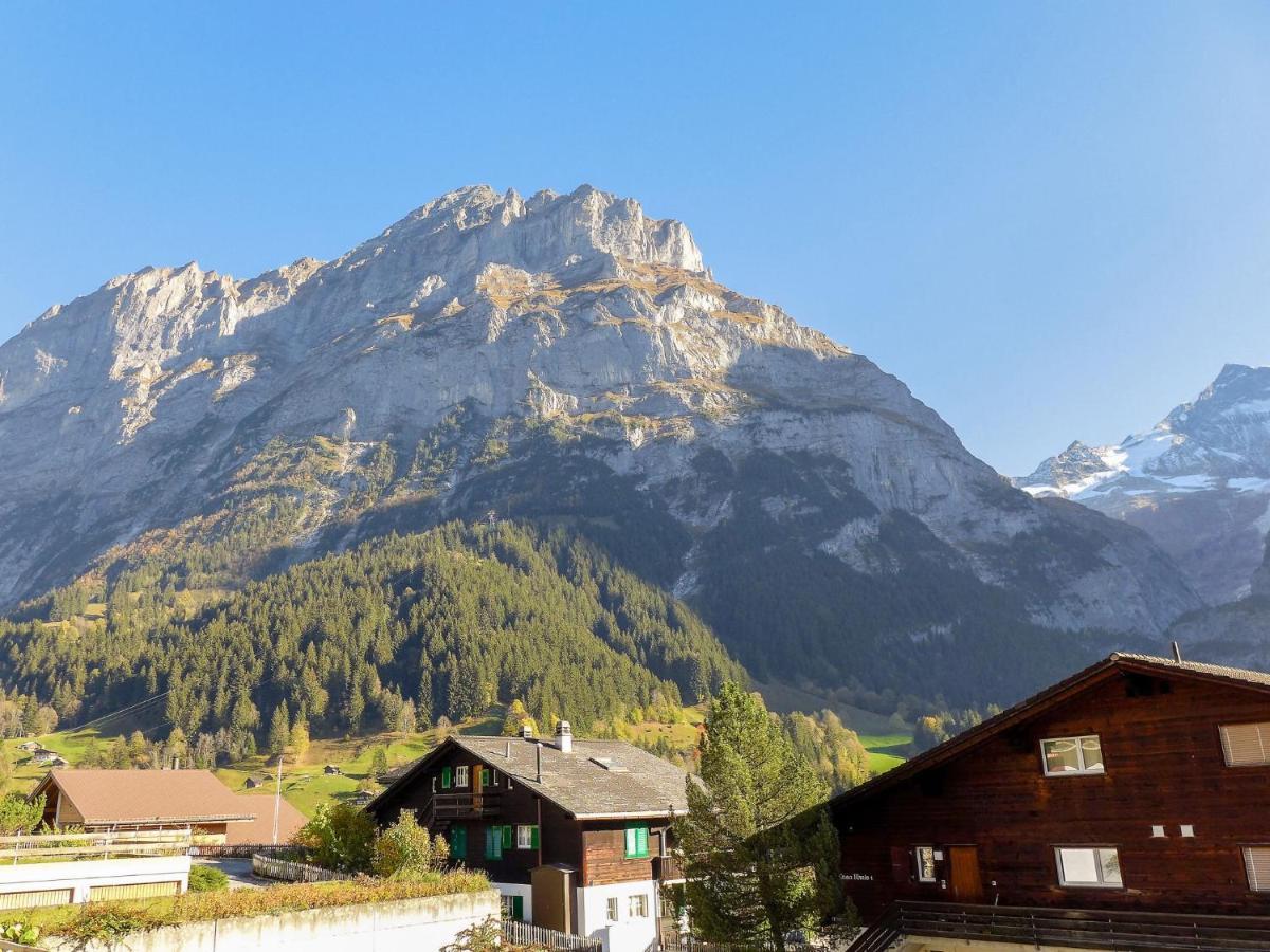 Apartment Chalet Almis-Boedeli-2 By Interhome Grindelwald Exterior foto